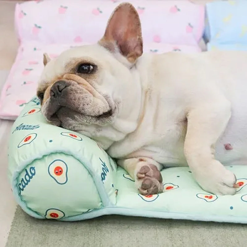 Koelmat voor Honden en Katten