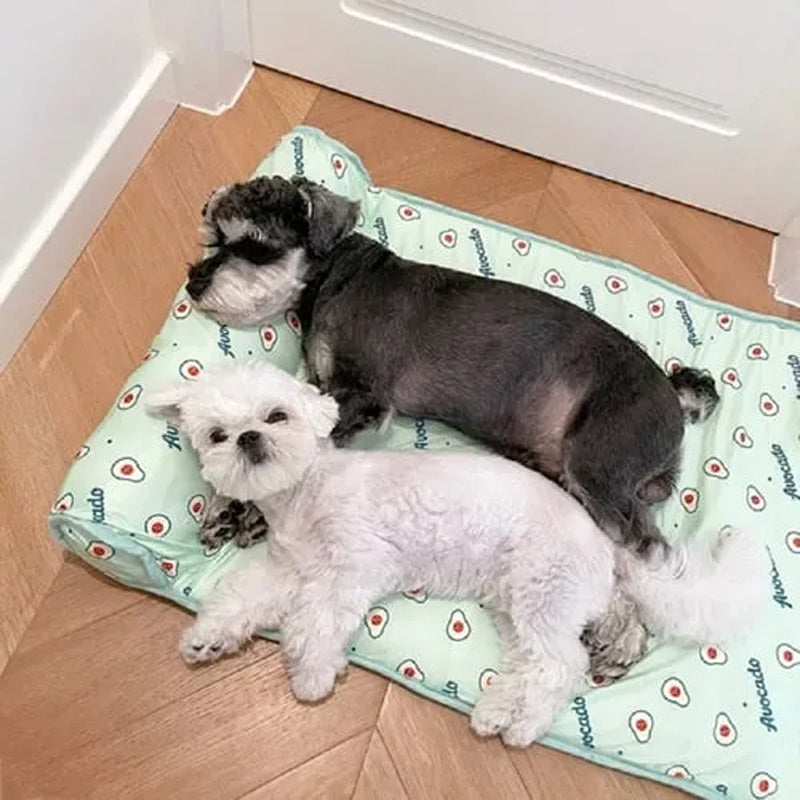 Koelmat voor Honden en Katten