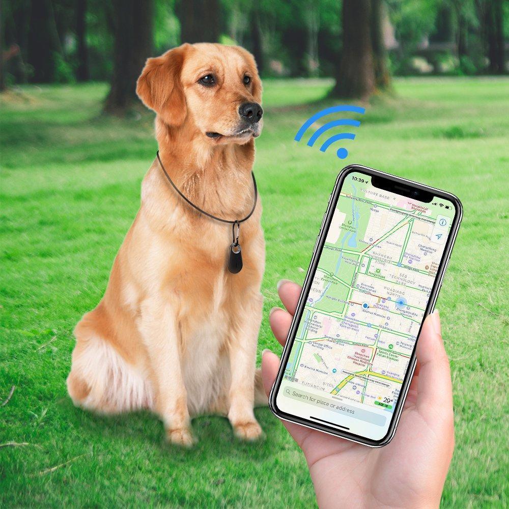 Huisdieren GPS-Tracker-Activiteitsmonitor Voor Honden en Katten